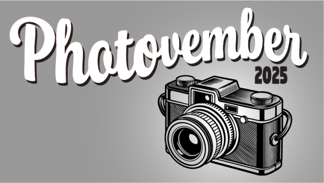 Photovember 2025 - illustration of camera