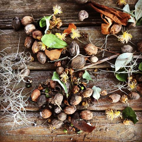Found Art assemblage using materials found outdoors. Art by Brighley Nickerson