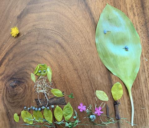Found art assemblage using materials found outdoors. Art by Tessa Bitinas