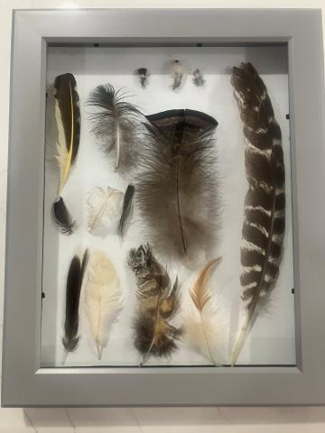Found art assemblage using materials found outdoors. Art by Tyler Austin